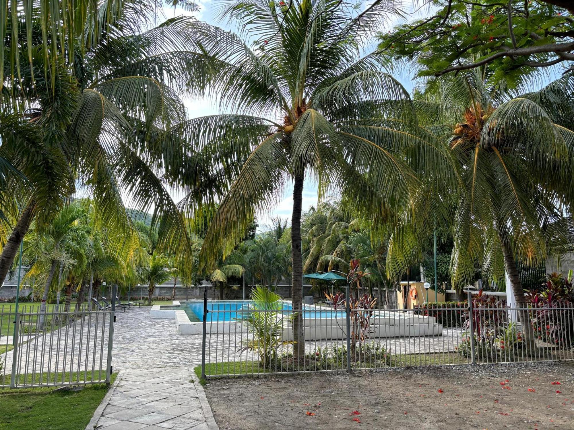 Palm Malinamoc Hotel Dili Extérieur photo
