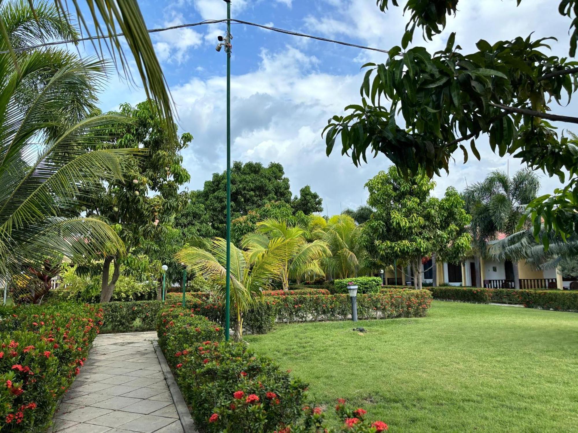 Palm Malinamoc Hotel Dili Extérieur photo