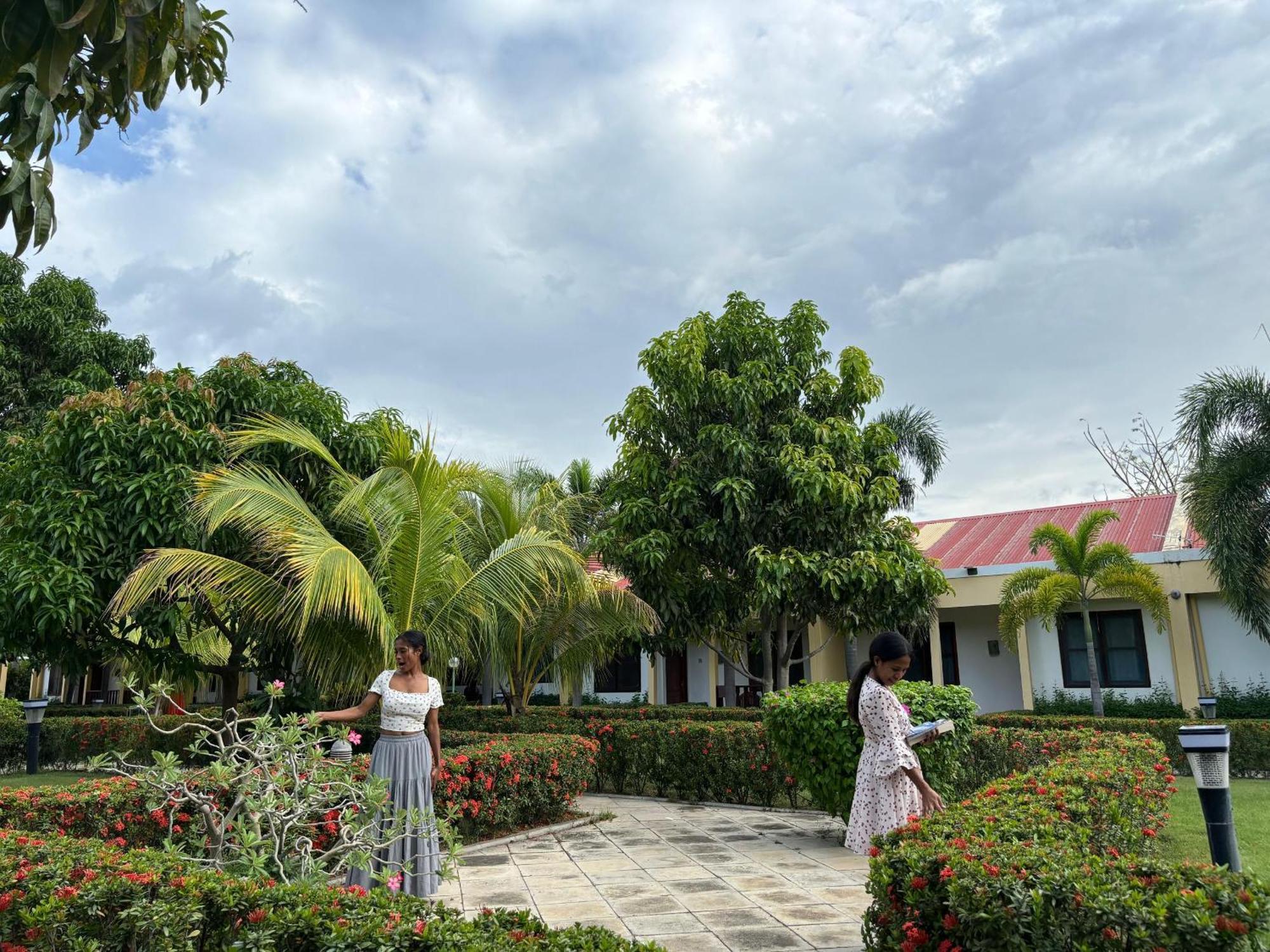 Palm Malinamoc Hotel Dili Extérieur photo