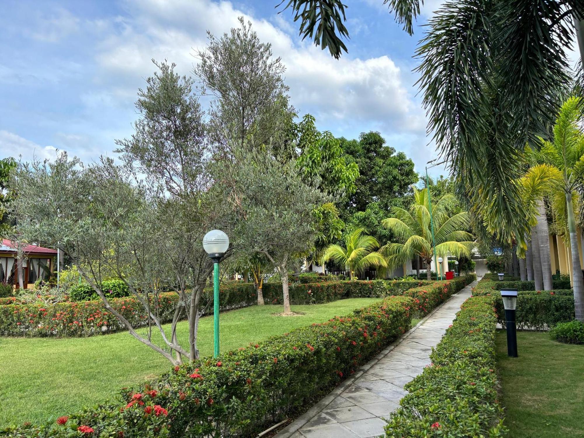 Palm Malinamoc Hotel Dili Extérieur photo